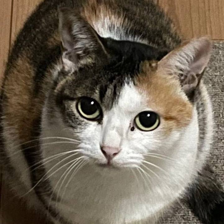 89cace6b d3e3 495b 8c9c 71d2323e7558 1666100786847