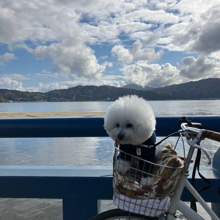 89cae2c7 8325 4879 8a91 20f5723944f0 1764417846825