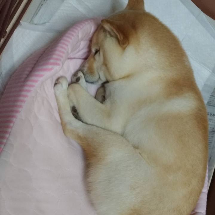 89cae600 dab5 454f 8ed7 83bf5270410e 1596373163866