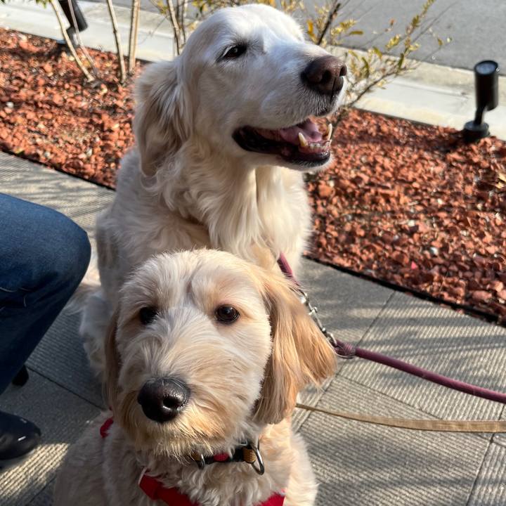 89cb20fb b1d8 4e58 b907 5a988ed63a96 1758779519941