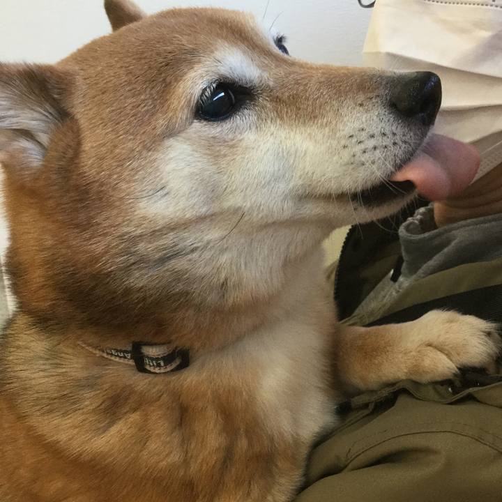 89cb3939 5ae0 42bd 8af0 8870b9c74389 1613965108378