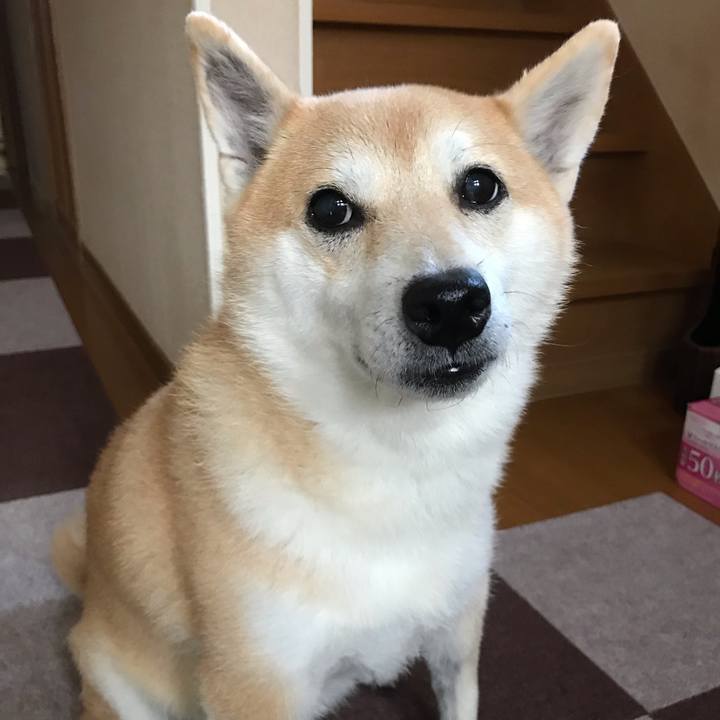 89cb7887 0947 4faa b9ee e2254d89cdb5 1539767207371