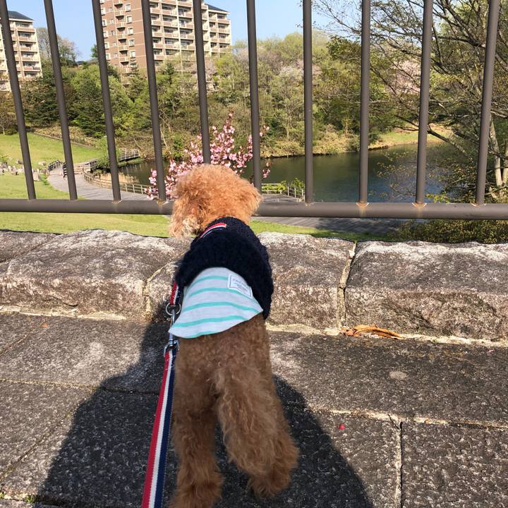 89cb8fa9 027e 481b a3db 65038b68e145 1650872208913