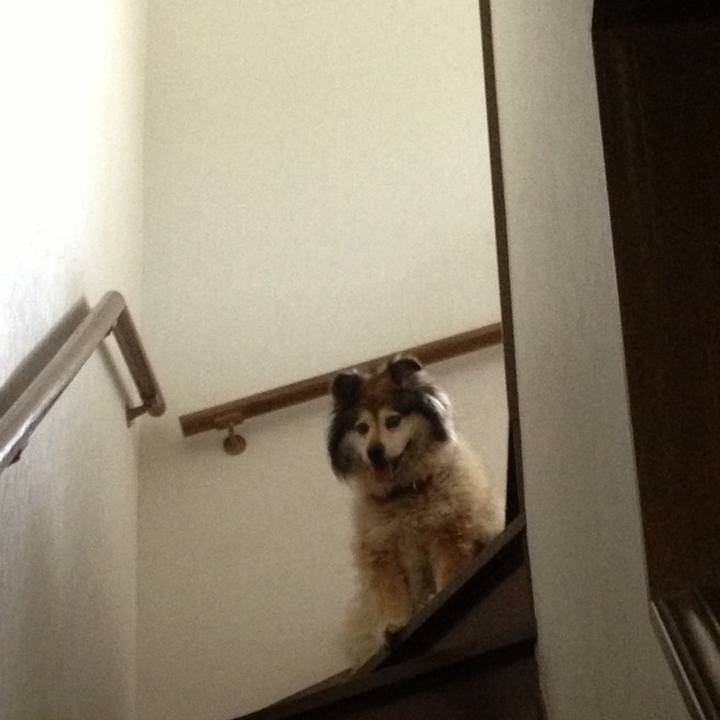 89cbadc6 930d 4d82 8e56 a9bcedd7f515 1620956000360