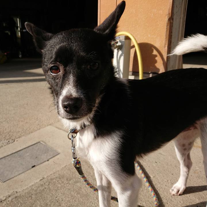 89cbd2b6 8564 4b73 a7fa df0c1f0d008f 1510792203586