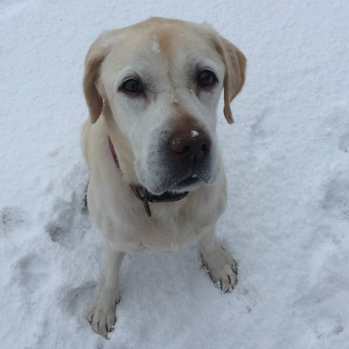 89cbd7da 6679 4e50 9f56 91e923689816 1610274498742