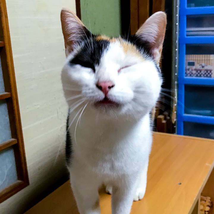 89cbe46a ce1c 4491 ad61 067648be5236 1509877191881