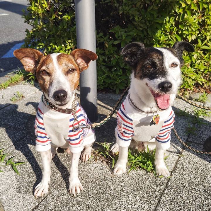 89cc532c 95e1 49aa 983e a221029c2077 1750197617786