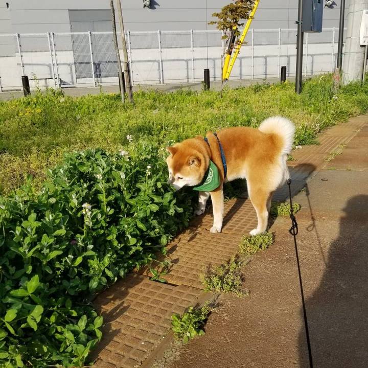 89cc7ff4 f2d8 4388 83bc b842176813ab 1557043059120