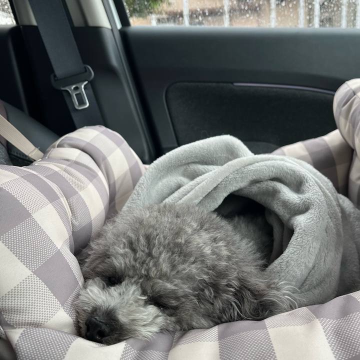 89ccae0b e8ac 41b2 bbf9 31c3cbbd4151 1774930661457