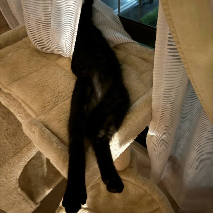 89ccba16 b735 4d7d b8c0 34b872f3de44 1725103745567