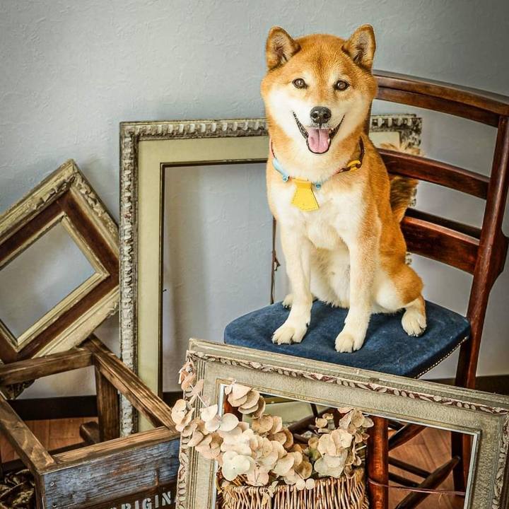 89ccbcee a0d3 4f7d 8029 695aff8e8165 1689315016950