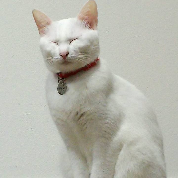 89cd4371 5aea 4b18 9082 fb00088e7873 1508429184024