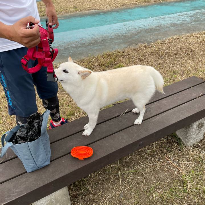 89cd946f db57 4d68 a0ba 0178c9ac68fd 1654877503153