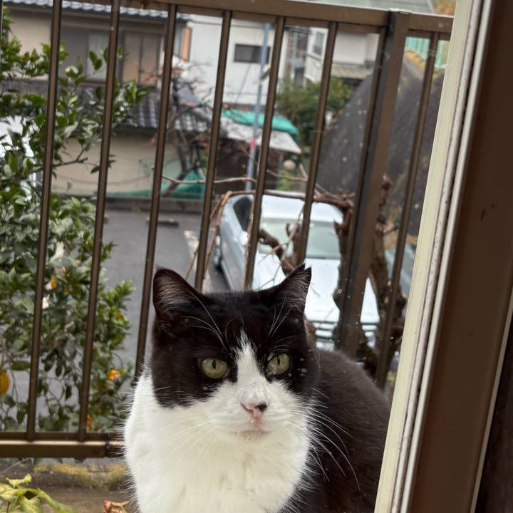 89cdad24 2598 4301 91d4 1b4b4cd0c126 1766282349757