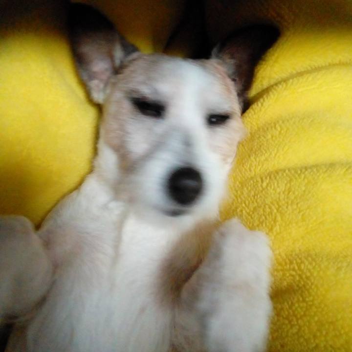 89cdd8ef 15ed 4d41 a7f7 6e84e31a71db 1582036435536