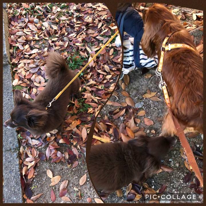 89cde3aa 0adb 4c2b 9f55 33facb895265 1605400134841