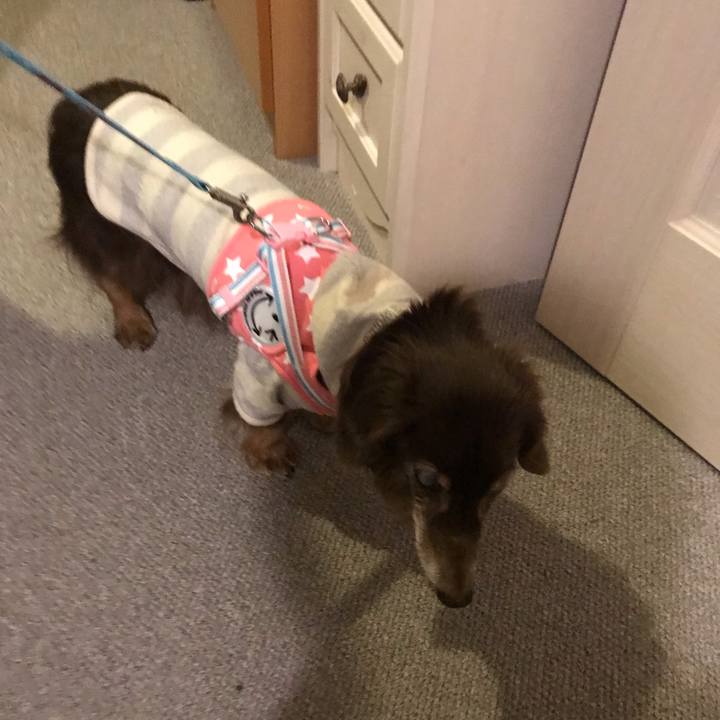 89cdef53 90f4 4166 aeb9 3a8f22cff3b1 1580031616461