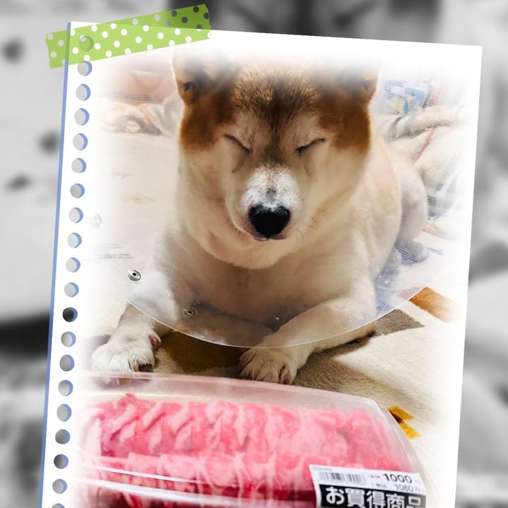 89cdfd79 c090 46a7 b3f7 1edc6dcda87b 1733131526620