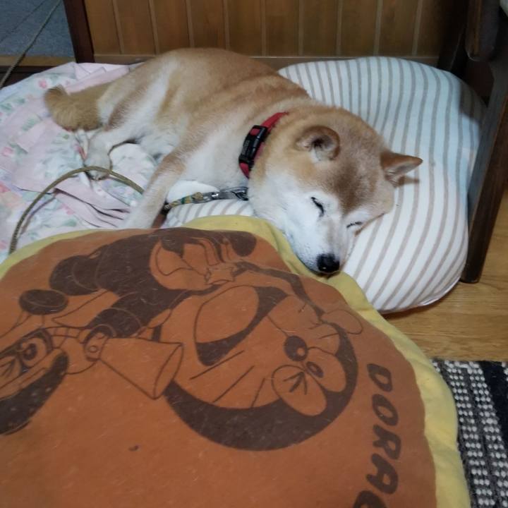 89ce0147 ede0 470c 975c c88c35e4eb6f 1719910166507