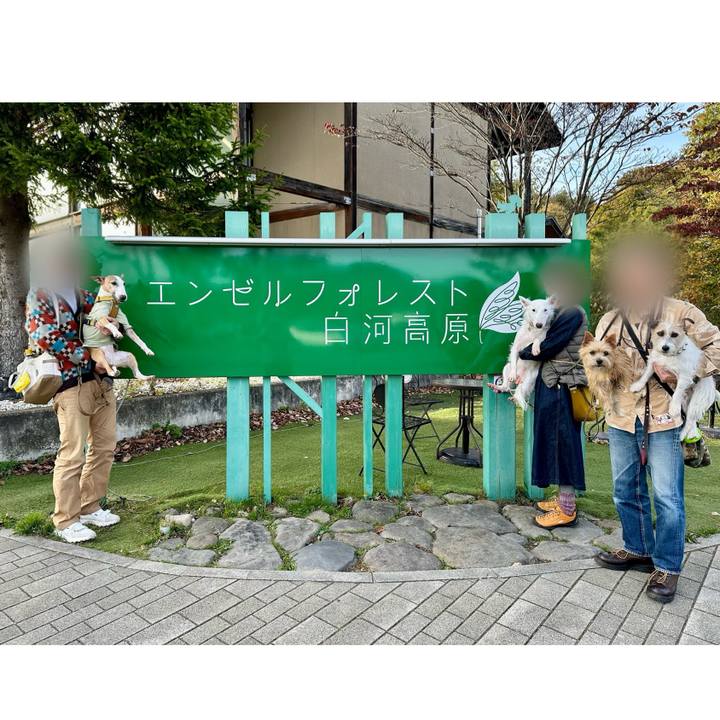 89ce3e82 e81a 4f4e b707 4bdba065a176 1730691627110