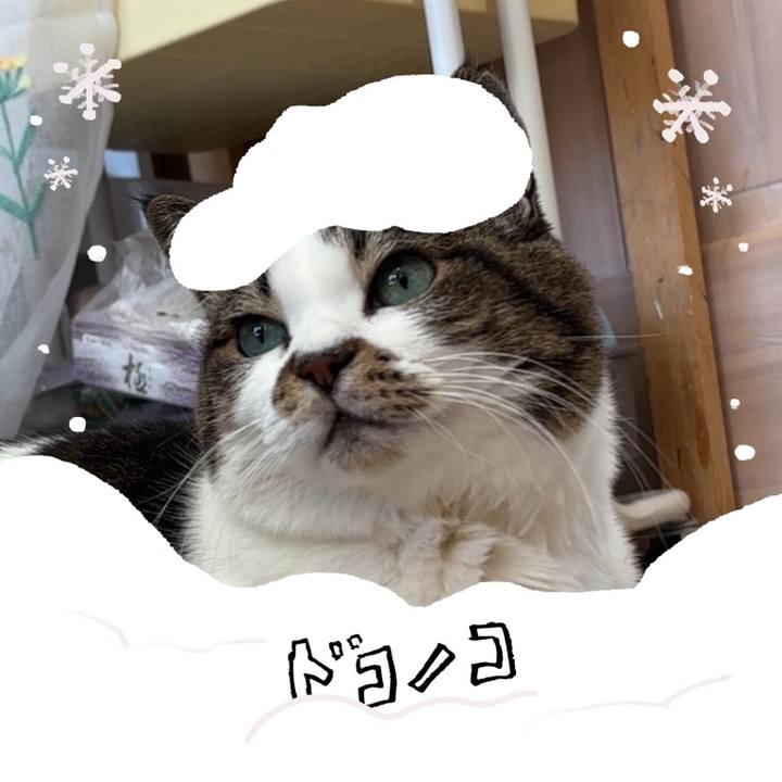 89ce789a 9e9e 440b a468 484bb3687f61 1771836549813