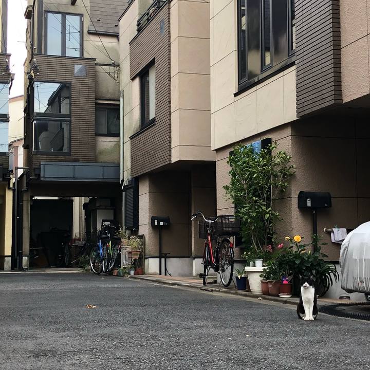 89ce9457 7ec3 4477 ad99 4aa19161f23a 1535656525030