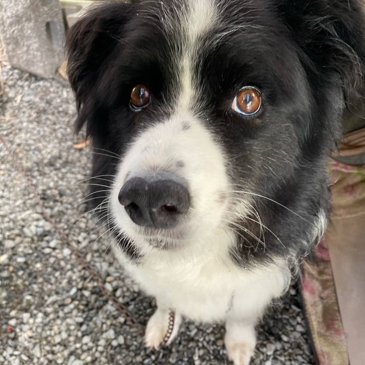 89ce9cb4 7d73 4c5c a9ba ec089c078fb1 1596847500166