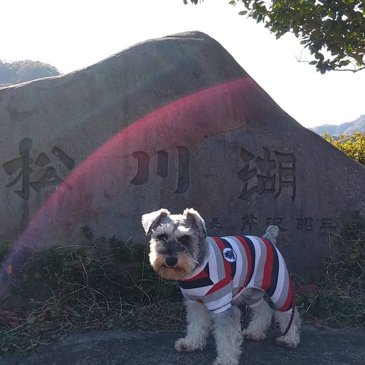 89cec30b 7849 41e1 a0b1 930c80fc20ed 1573982901883