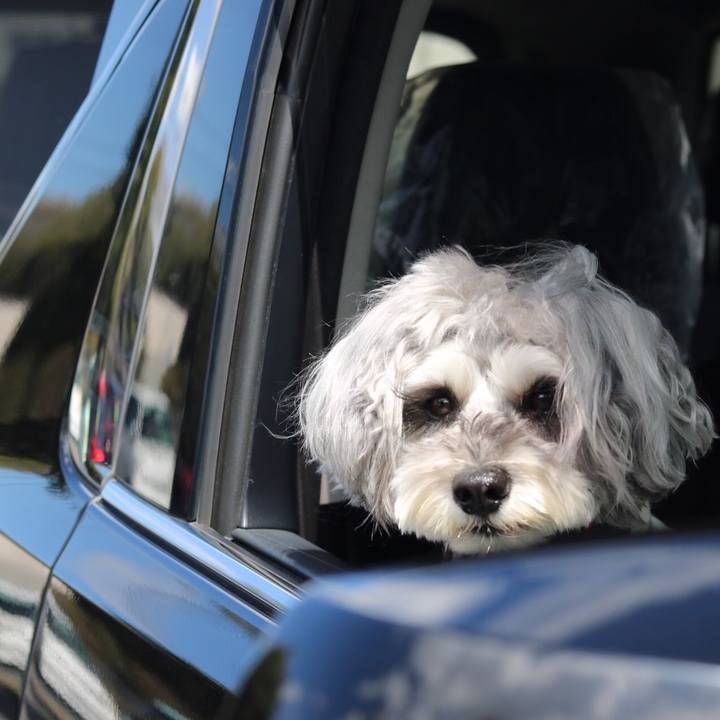 89cec5d6 0546 4188 8dc4 0db178807653 1651037179521