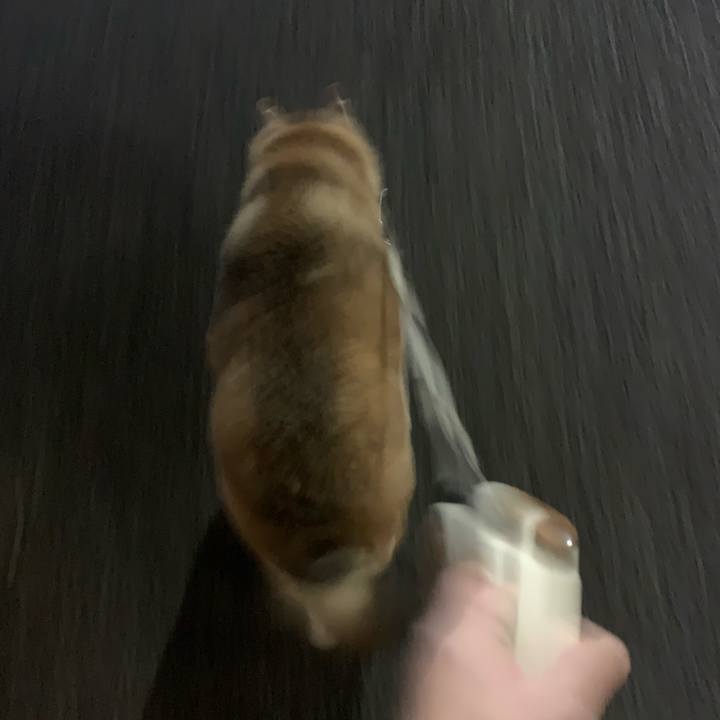 89cedc1e 1188 4f4b 833d 09f086f806bf 1641299654732