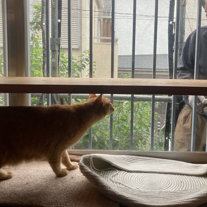 89cedf7f 5f23 489a a9e8 3170e75fb975 1729903762026