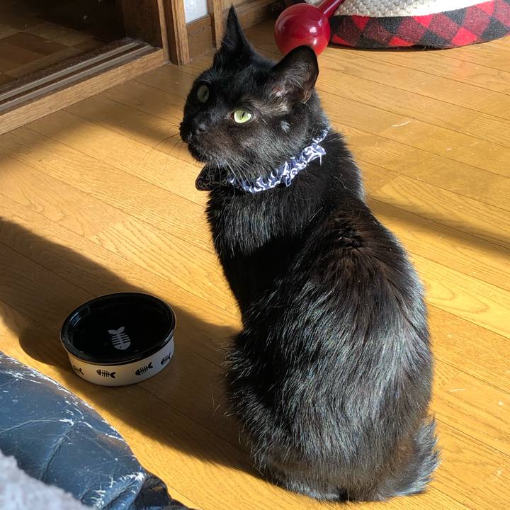 89cee0d3 1c97 4e8c 907d 901eadbf40c1 1556580367827