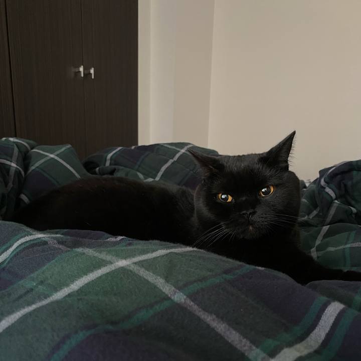 89ceeb6a d50a 4f4b a323 f6a15ac204a2 1638522276290