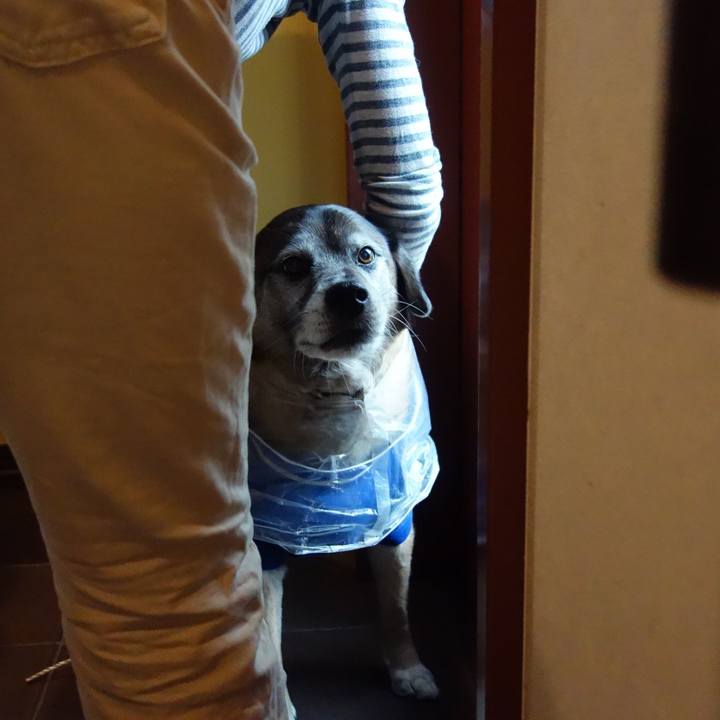 89cf2ad8 03a0 4f37 9e44 8015edb6cf5e 1560559155620