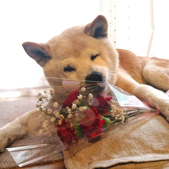 89cf5d6d 020a 4a9d 8afc b8c0f3ab25e0 1620533929921