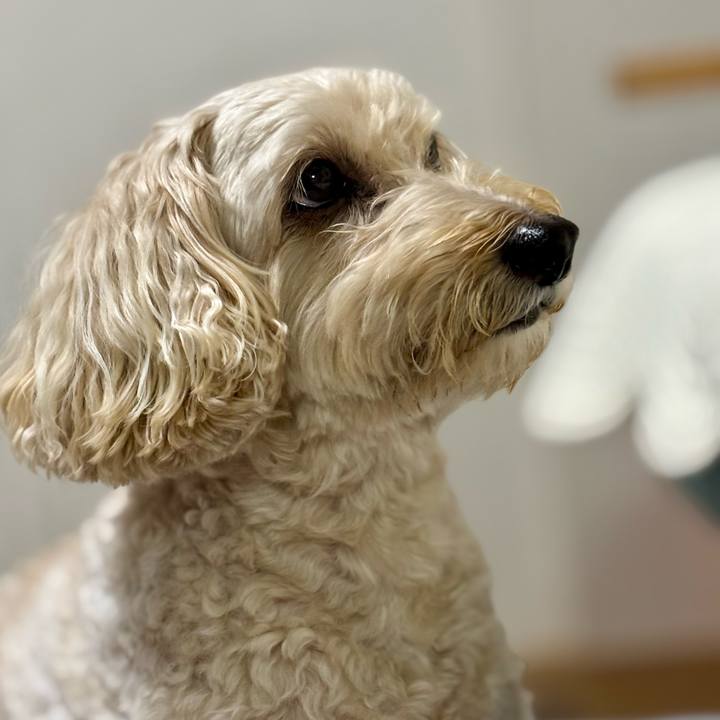 89cf8fe9 cadc 4f2b 87bb 6221ec771c0d 1757634687747