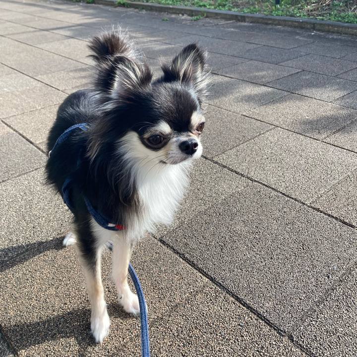 89cf987b c777 44c0 9a70 1c793c363a73 1636257079601