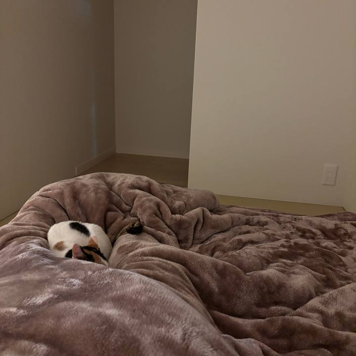 89cfab62 80f0 4d77 afad b6d42e1be07c 1766410426351