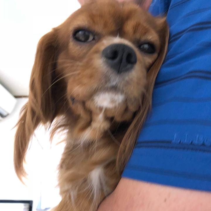 89cffae4 2ae7 4258 a0e9 180fcaf3a05c 1531569893890