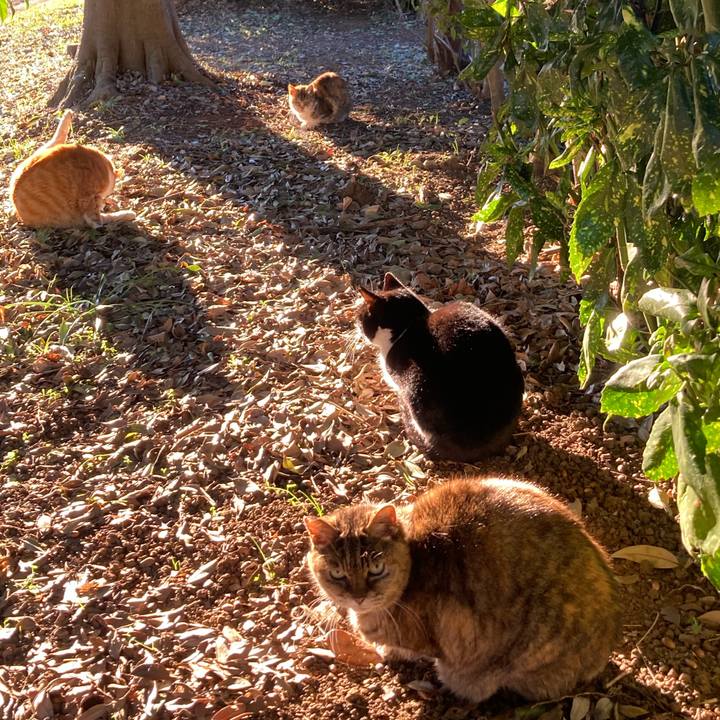 89d0064c bed4 458b b783 08e41b8b84ac 1642241171658