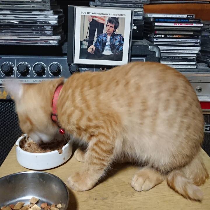 89d01727 5026 4103 91ac 8ccb3146e492 1632742042175