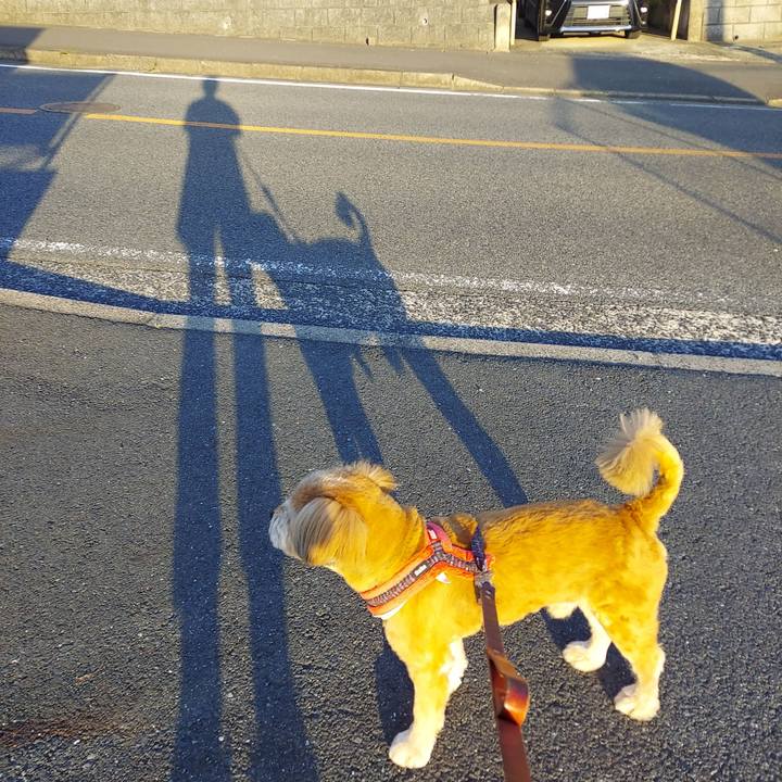 89d02147 3883 4a93 b949 1aff00d60ab1 1653776128759