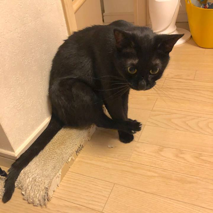 89d0450b ec74 4229 873d f1ca9d61f491 1561465149524