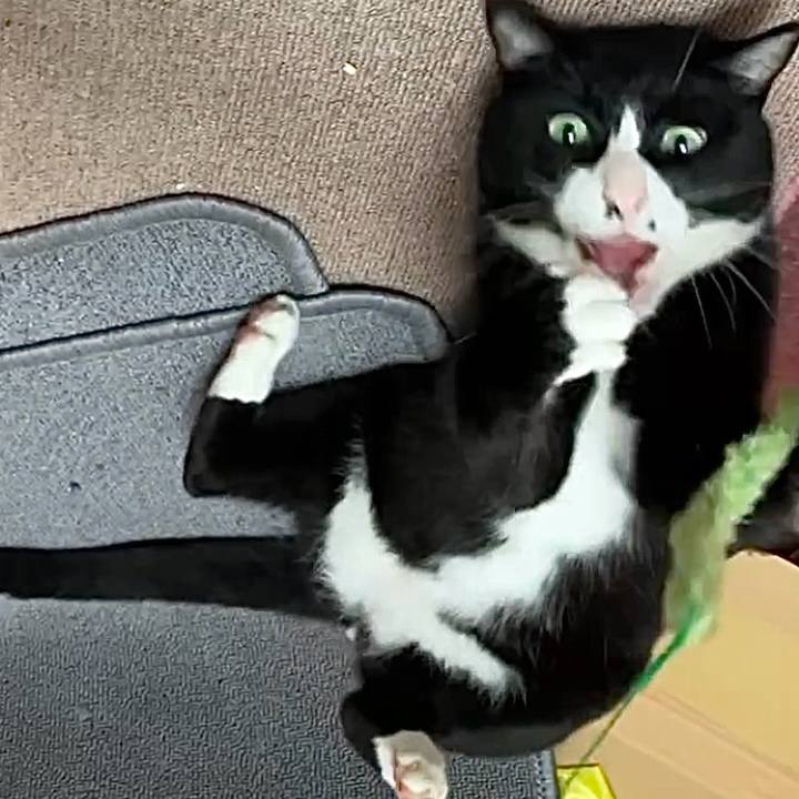 89d084a9 dfa3 40bb 93e1 9fb26680f890 1729999646172