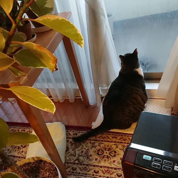 89d08681 b067 48ac 8d8f cb83d0c1ae47 1547158723044