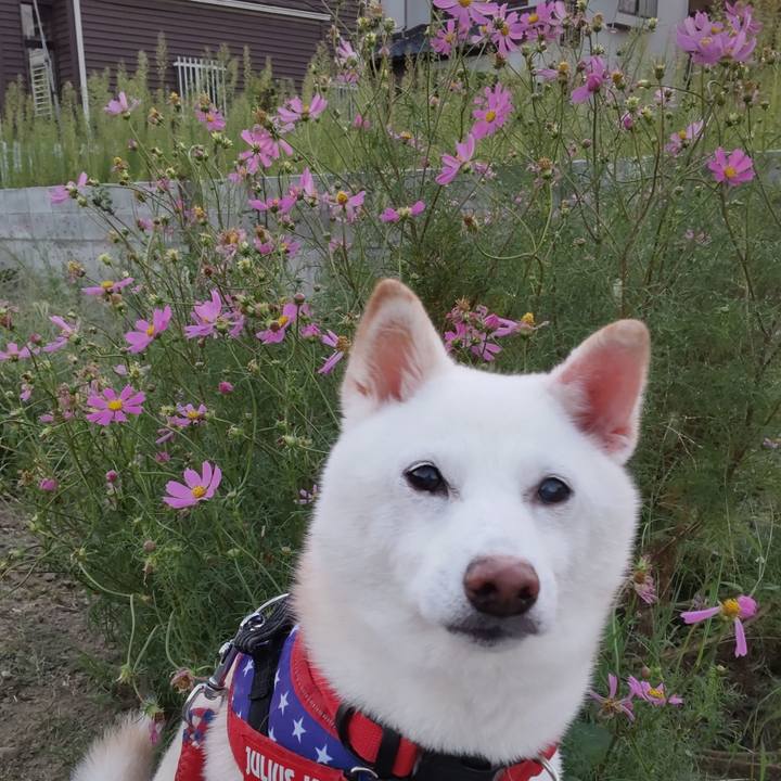 89d0907d 032a 4196 b883 abd7c041cc7f 1728464192607