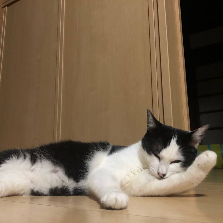 89d0c509 789a 43e2 b9bf 2677c7fc8bbc 1559828751871