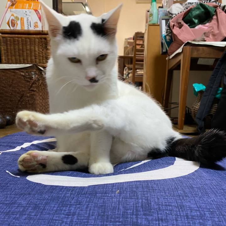 89d0d398 9d26 4975 b38d dbf9a639cedf 1635592391534