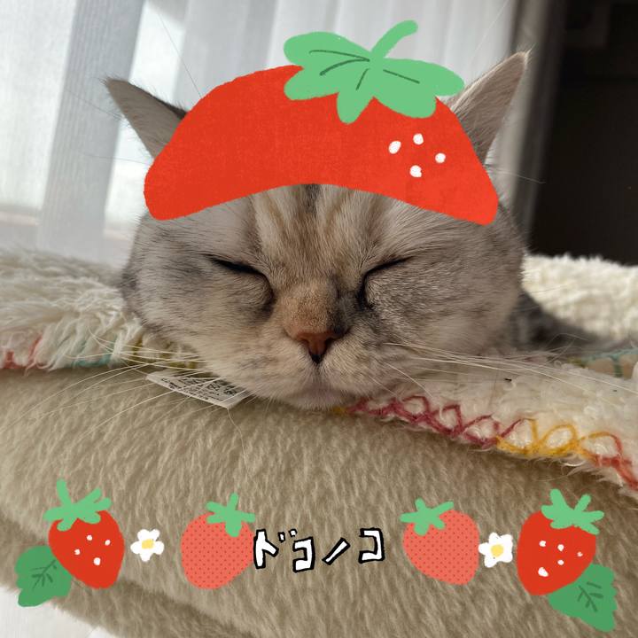 89d0e939 1480 4bba 986a ba1c00668895 1775442600902